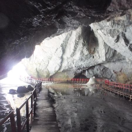 Pensiunea Piatra Mandrutului Скерішоара Екстер'єр фото