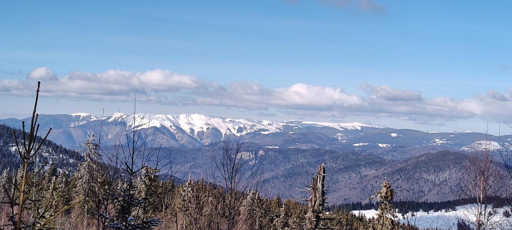 Pensiunea Piatra Mandrutului Скерішоара Екстер'єр фото