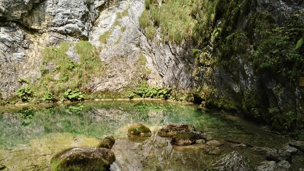 Pensiunea Piatra Mandrutului Скерішоара Екстер'єр фото