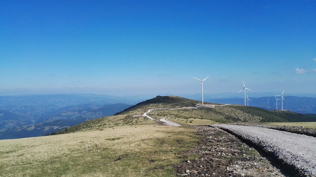 Pensiunea Piatra Mandrutului Скерішоара Екстер'єр фото