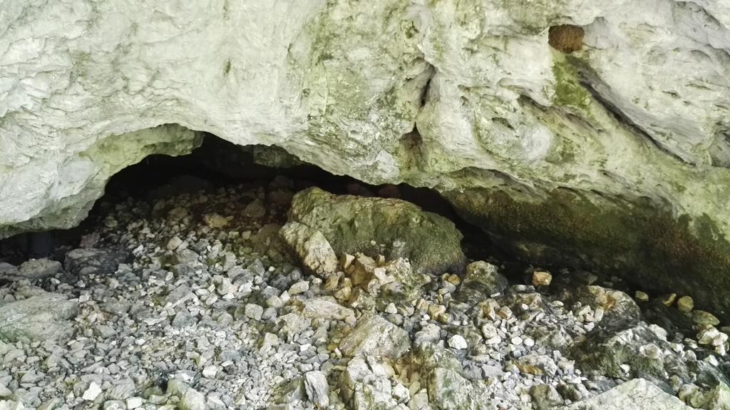 Pensiunea Piatra Mandrutului Скерішоара Екстер'єр фото