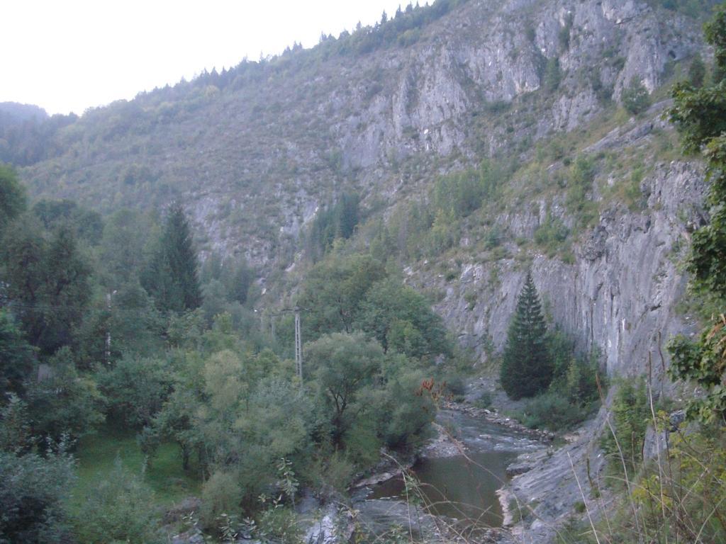 Pensiunea Piatra Mandrutului Скерішоара Екстер'єр фото