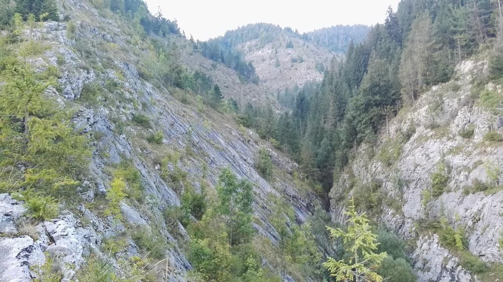 Pensiunea Piatra Mandrutului Скерішоара Екстер'єр фото